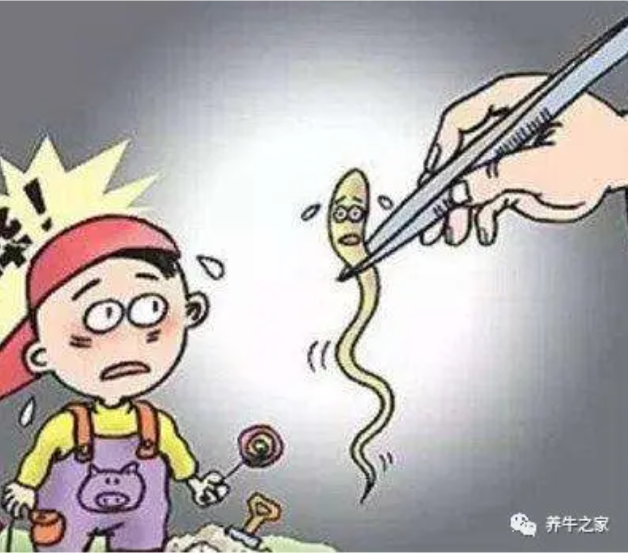 360截图20250321084747366.jpg