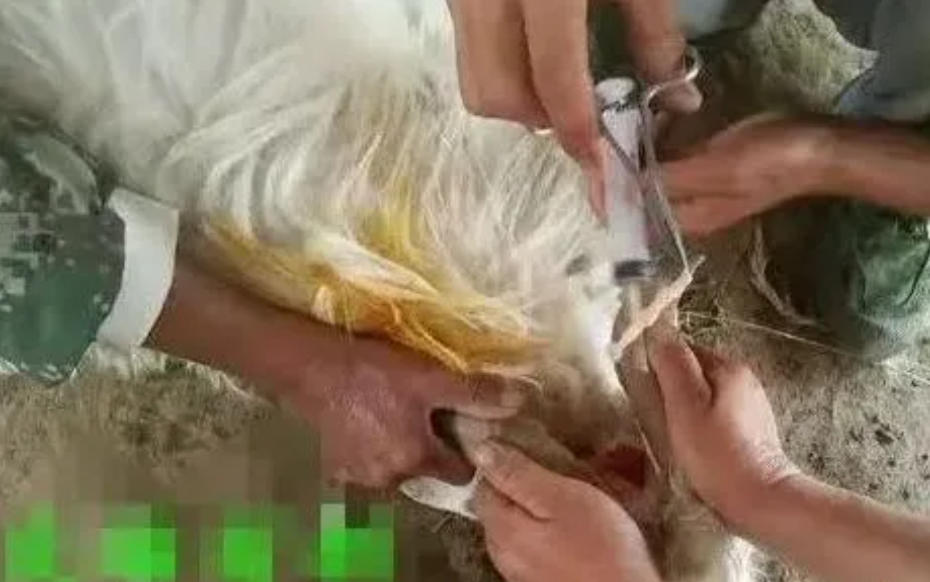 wechat_2025-09-02_155439_085.jpg